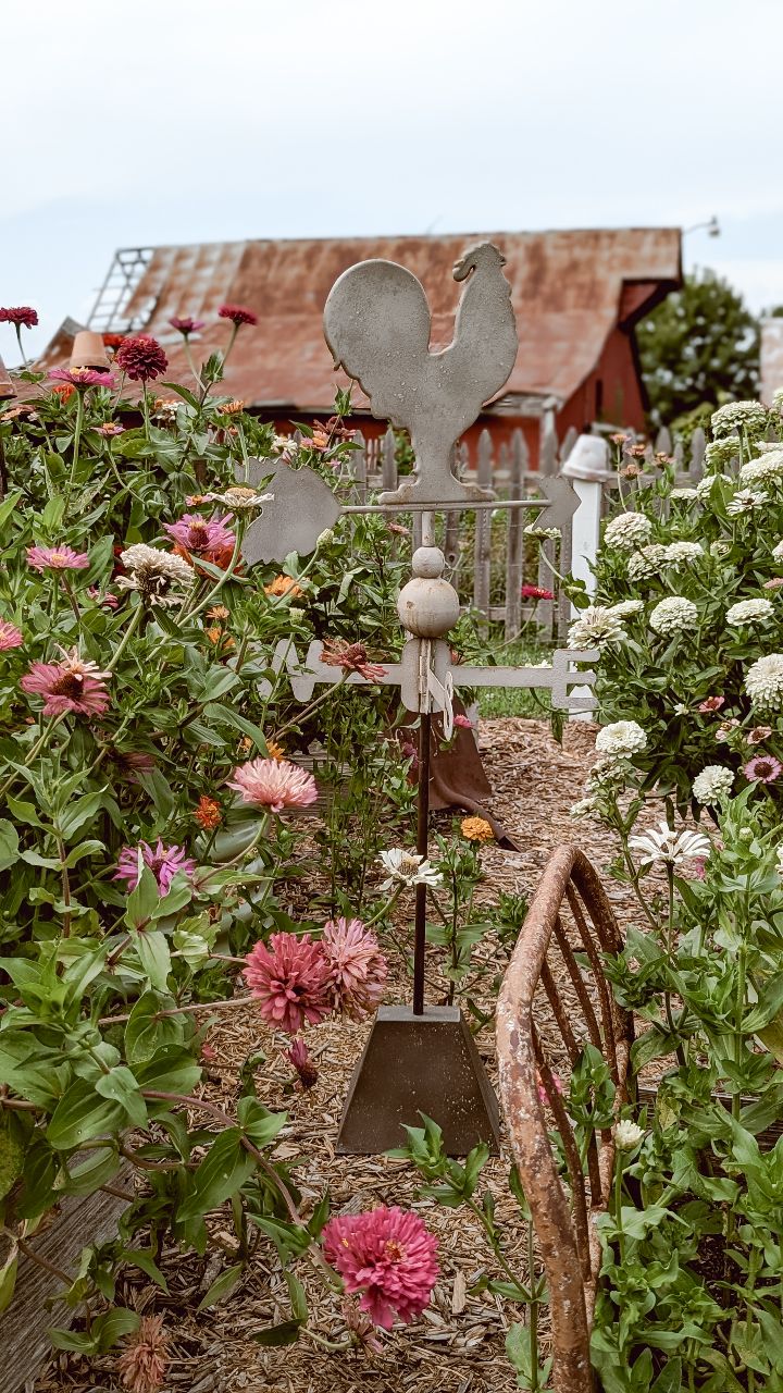 Instagram post by @downshilohroad for DECOR STEALS. Caption reads: GARDEN NOOK DIARIES ENTRY NO. 9: LONG BEFORE THERE....