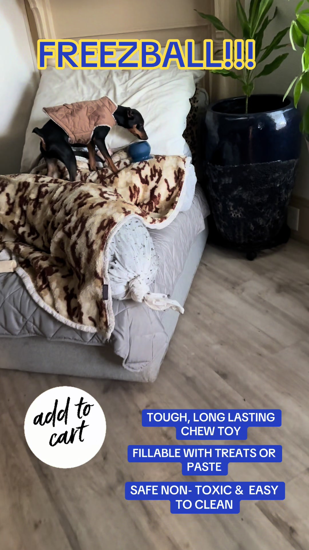 TikTok post by @lunalilyandgremlin for Freezbone. Caption reads: @Freezbone  GREMLIN LOVES THESE FREEZBALL THAT I....