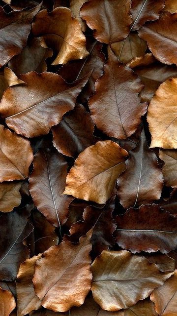 Instagram post by @nailsbyphoebe22 for Madam Glam. Caption reads: Want to know the secret to a flawless, quick nail....