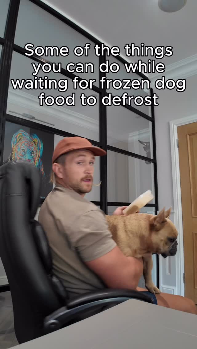 Instagram post by @tj.the.frenchie for Marleybones. Caption reads: [...] food to defrost ❄️

Why not give Marleybones....