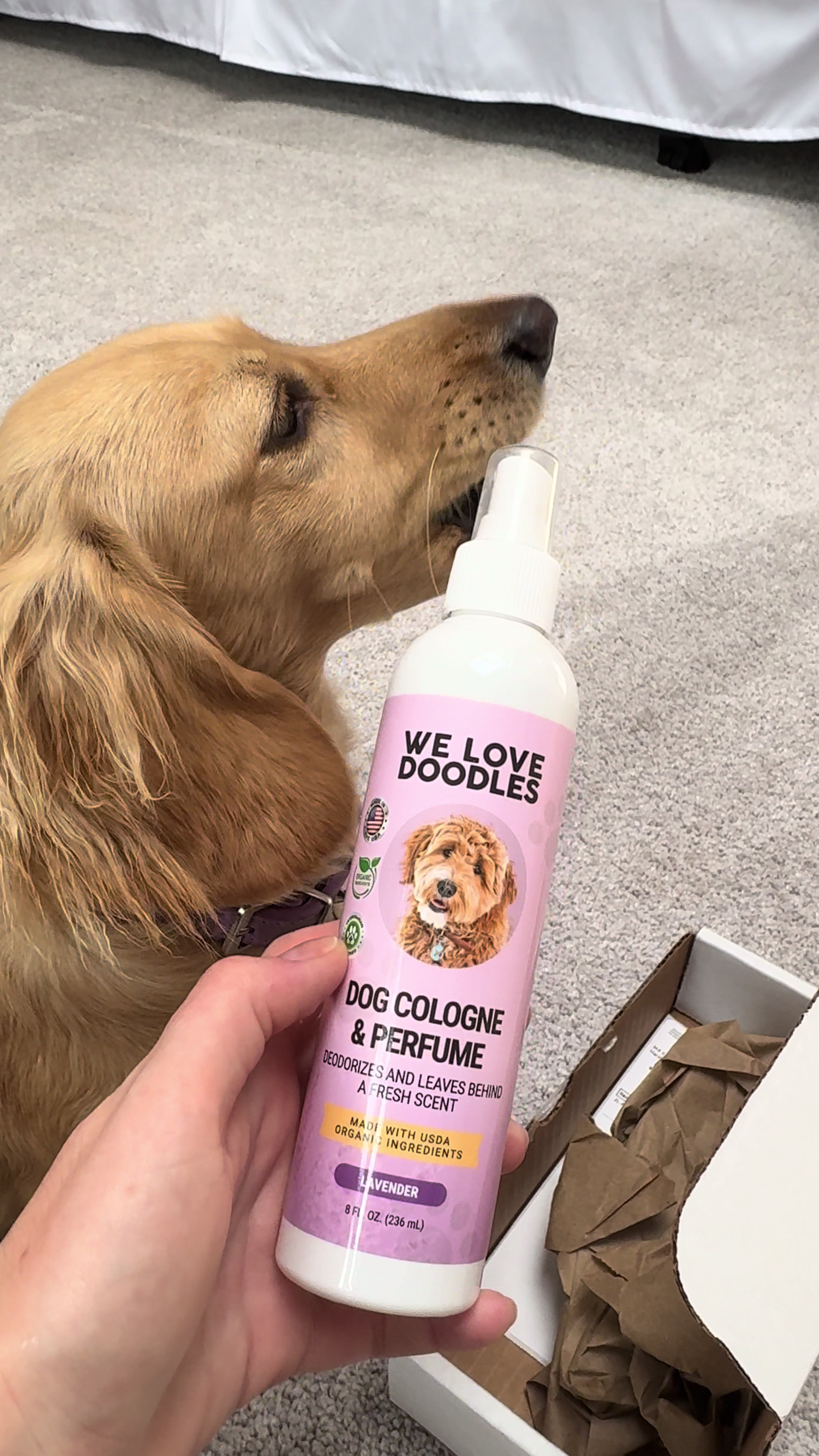 TikTok post by @pixie.the.mini for We Love Doodles. Caption reads: Thank you @WeLoveDoodlesShop for my new perfume!....