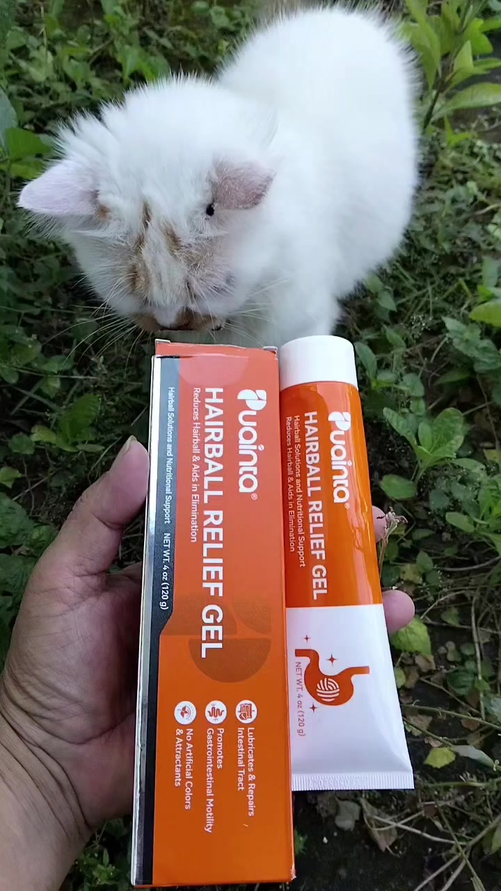 TikTok post by @aziz_ilham1 for Puainta. Caption reads: PUAINTA Hairball Gel Kucing Solusi Cegah Muntah....