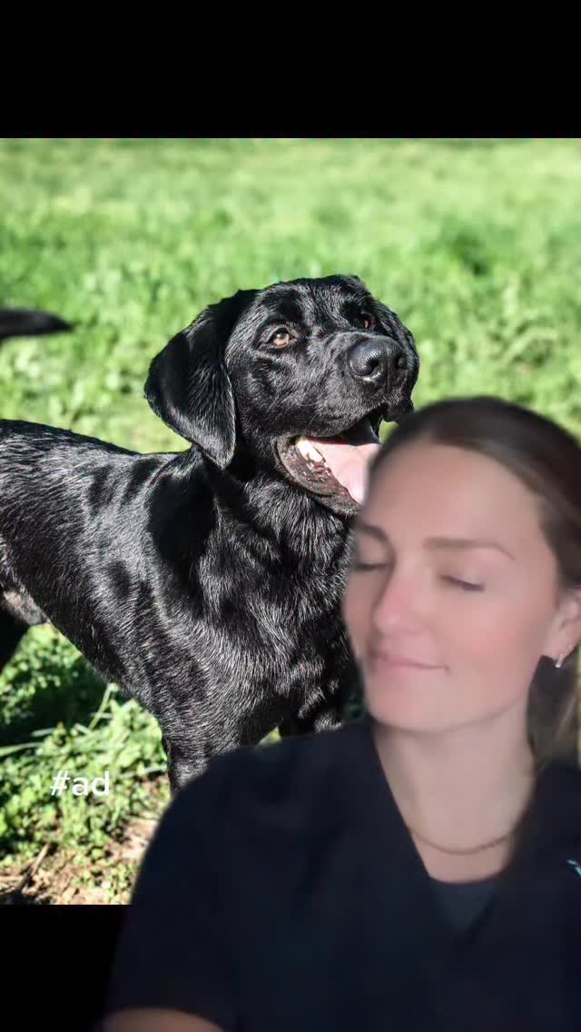 Instagram post by @drmollysays for Zesty Paws. Caption reads: When’s the best time to start a joint supplement....