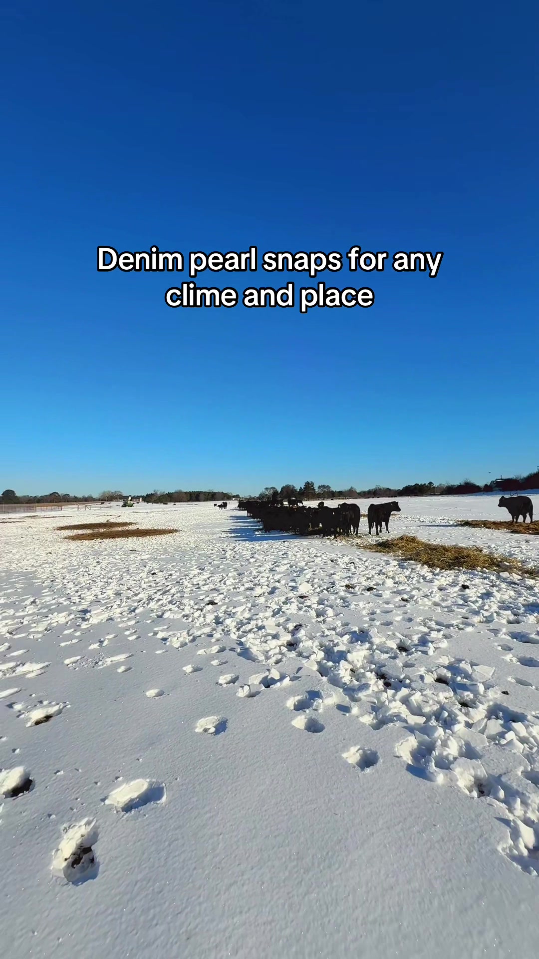 TikTok post by @josiahspicermusic for Ely Cattleman. Caption reads: @Ely Cattleman for every occasion #ranch #ranchin....