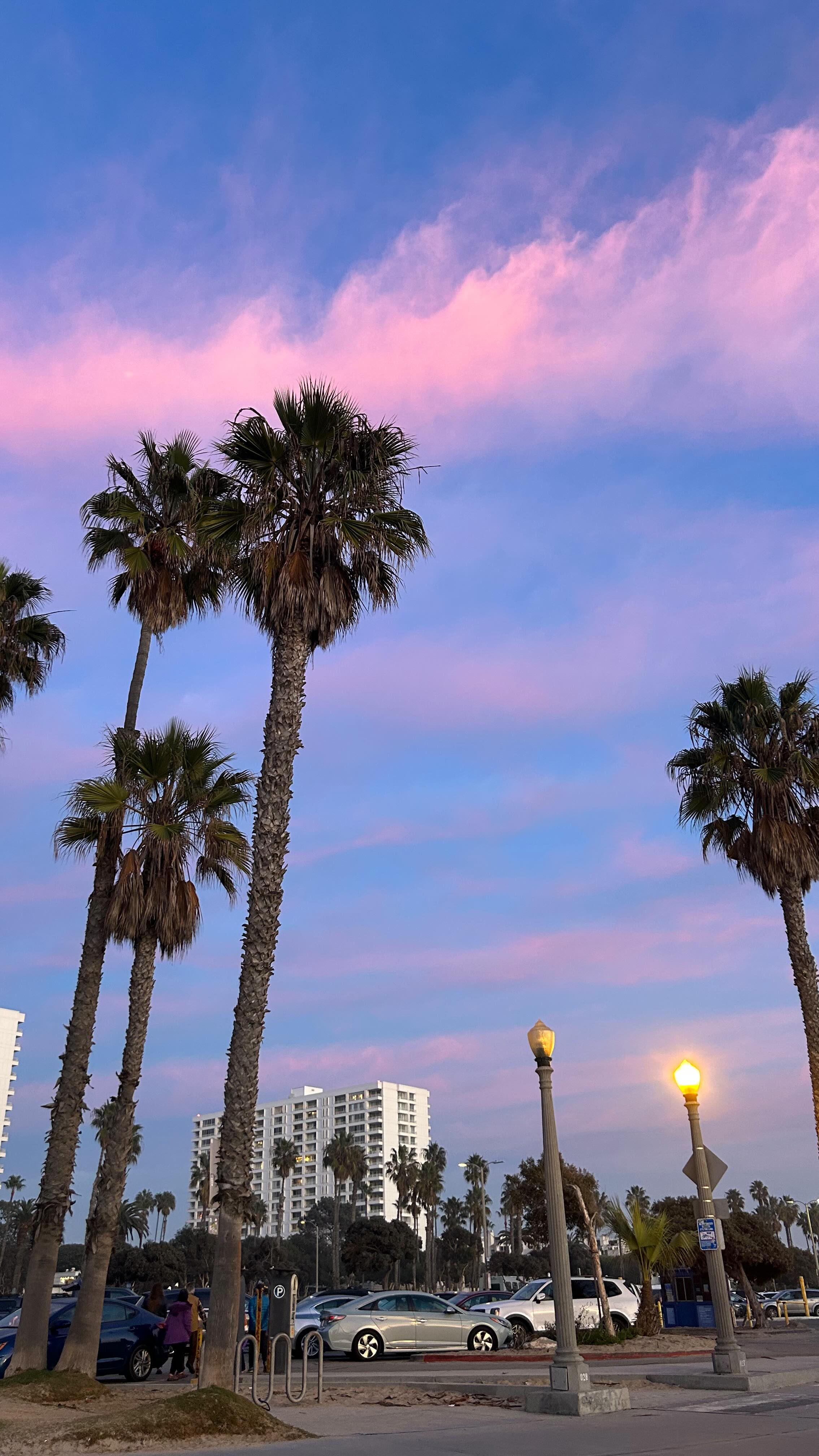 Instagram post by @maliynmonde for JLUXLABEL. Caption reads: JLUX LABEL 💞✨ 
. 
@jluxlabel....