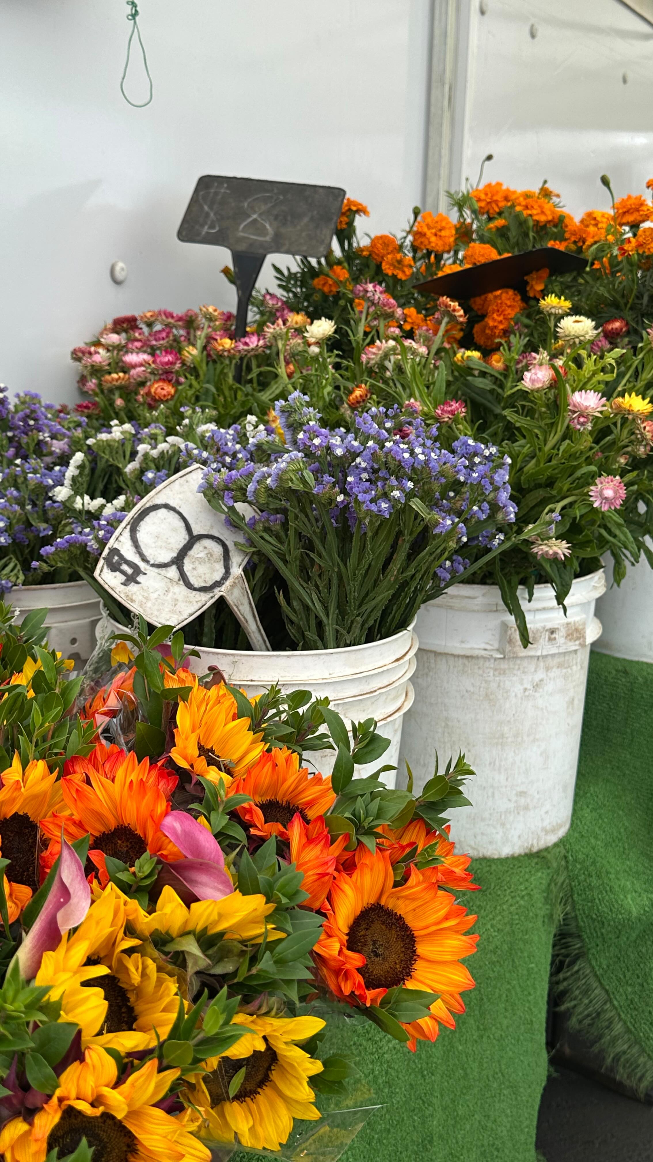 Instagram post by @juliabouvierr for Heart & Soil. Caption reads: taking my health back into my own hands using....