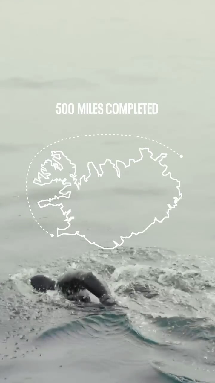 Instagram post by @rossedgley for Gym King. Caption reads: HALFWAY: Swim Stats by @gymking as we attempt the....