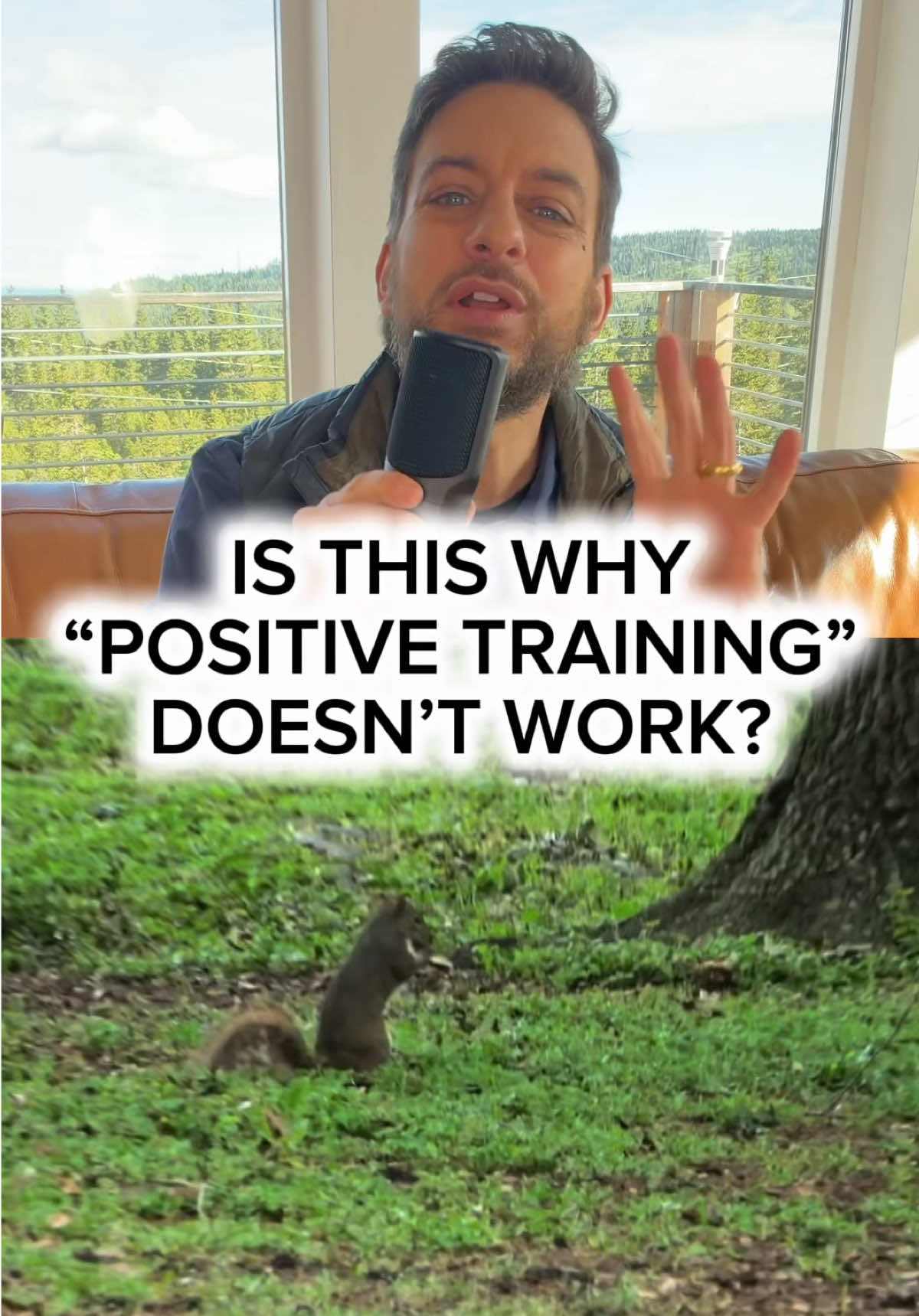 TikTok post by @thezakgeorge for Pupford. Caption reads: [...] to my free 30-day training guide at....