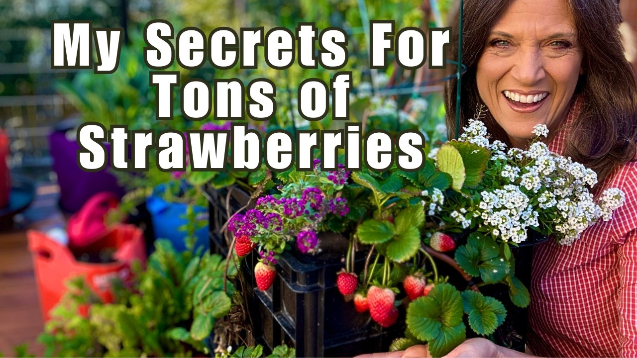 YouTube post by @CaliKim29 for Smart Pot. Caption reads: My Secrets for Growing TONS of Strawberries!.