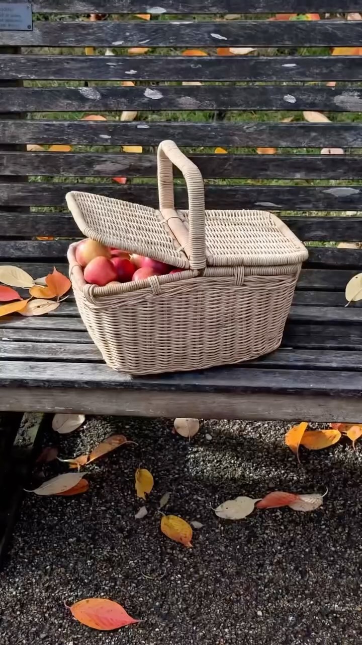 Instagram post by @katyaklema for Longchamp. Caption reads: fall adventures with @longchamp 🍎.