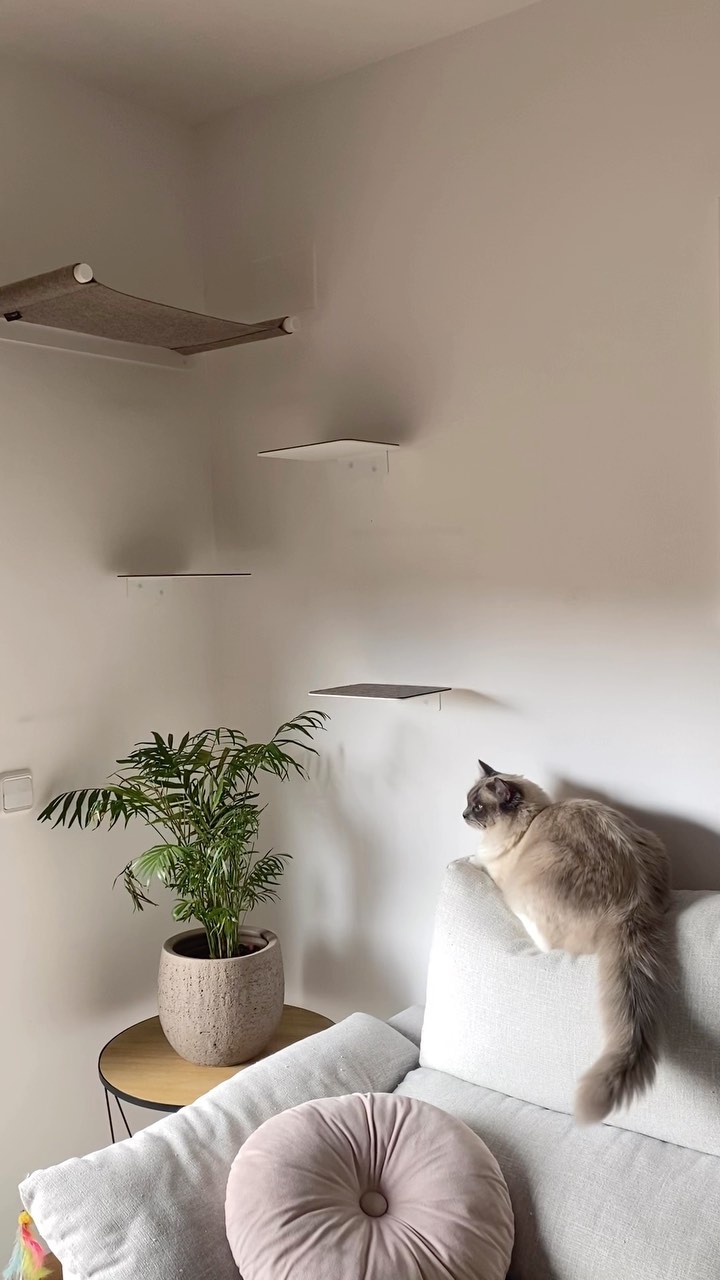 Instagram post by @jubenach for LucyBalu. Caption reads: @lucybalu is about high-quality, timelessly....