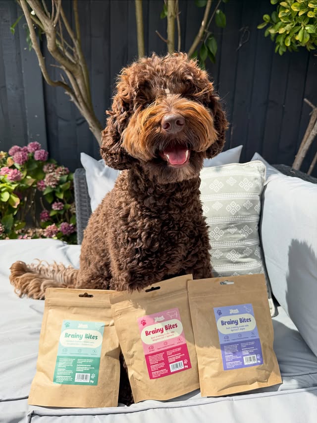 Instagram post by @rootheaussielabradoodle for More Years. Caption reads: Happy Snackurday from Roo and her favourite....