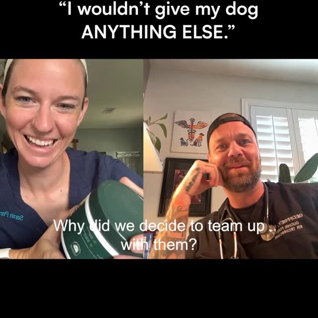 Instagram post by @aint.doin.right for Wuffes. Caption reads: Comment “WUFFES” to try @wuffes Joint Chews for....