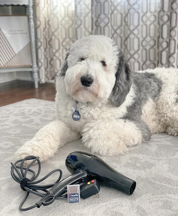 Instagram post by @murphy.in.montana for Kradle. Caption reads: I’ll be honest with you guys, I’m not a fan of....