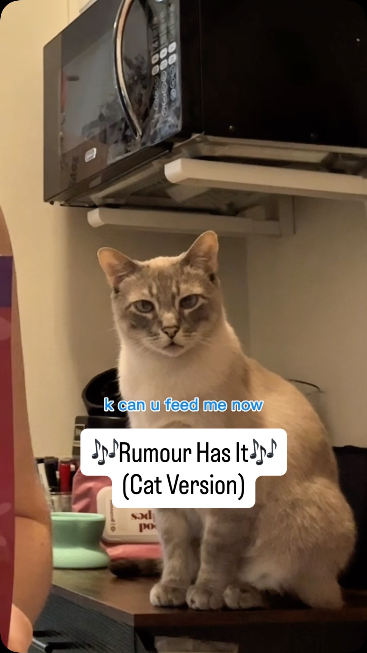 Instagram post by @meowfecta for Weruva. Caption reads: Rumor has it that @weruva has a new fully cooked,....