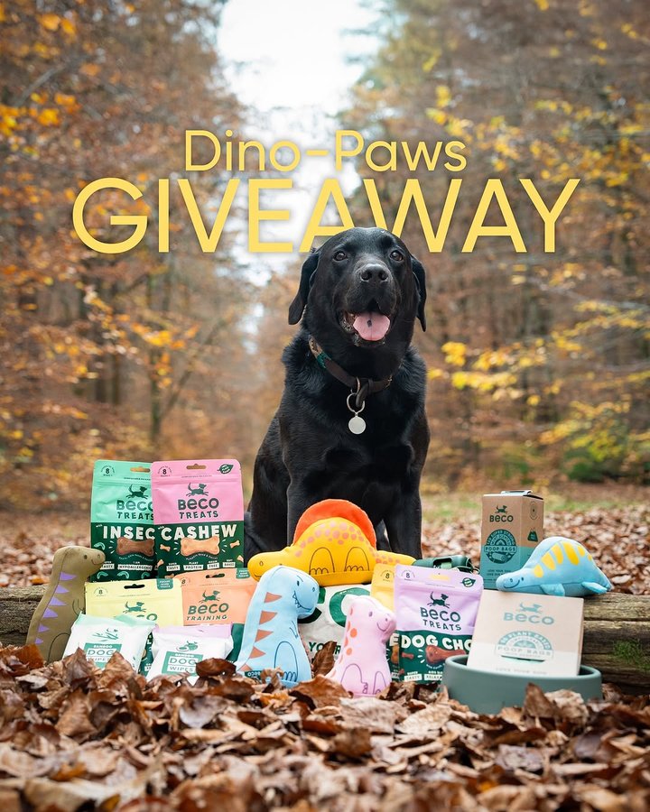Instagram post by @thelabraseal for Beco Pets. Caption reads: GIVEAWAY IS NOW CLOSED Hello friend! Do you want....