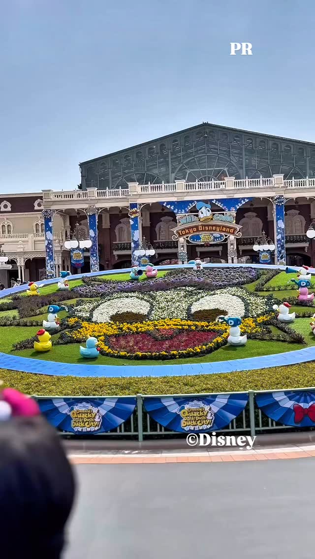 Instagram post by @momoca0128 for Tokyo Disney Resort. Caption reads: 東京ディズニーリゾート®より招待をいただき、東京ディズニーランド®に行ってきました🏰

ディズニー....