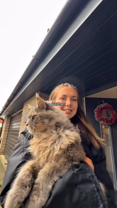 Instagram post by @emilyjanefairs for KatKin. Caption reads: you guys can’t convince me Boris isn’t the....