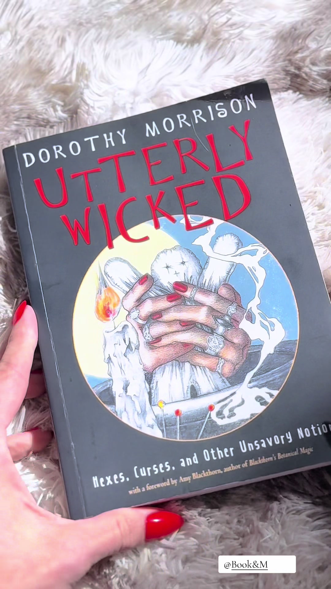 TikTok post by @momma.mels.bookrecs for Book & Mortar. Caption reads: [...] Wicked by Dorothy Morrison from @Book &....
