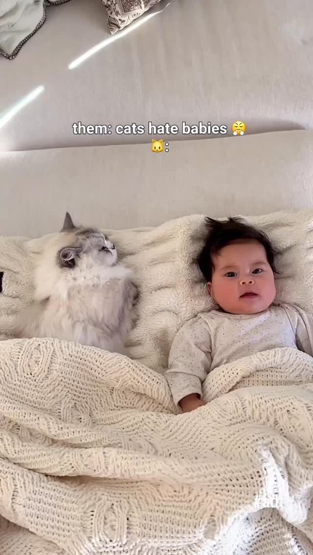 Instagram post by @joyfullygreenhome for Fancy Feast. Caption reads: #ad 🐈 When your cat has been the most patient big....