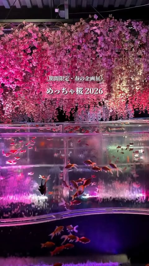 Instagram post by @hana_no_odekake for ARTAQUARIUM. Caption reads: [...] 全部徒歩で回れるので 銀座散歩にもぴったりです。 保存して行ってみてね✨....