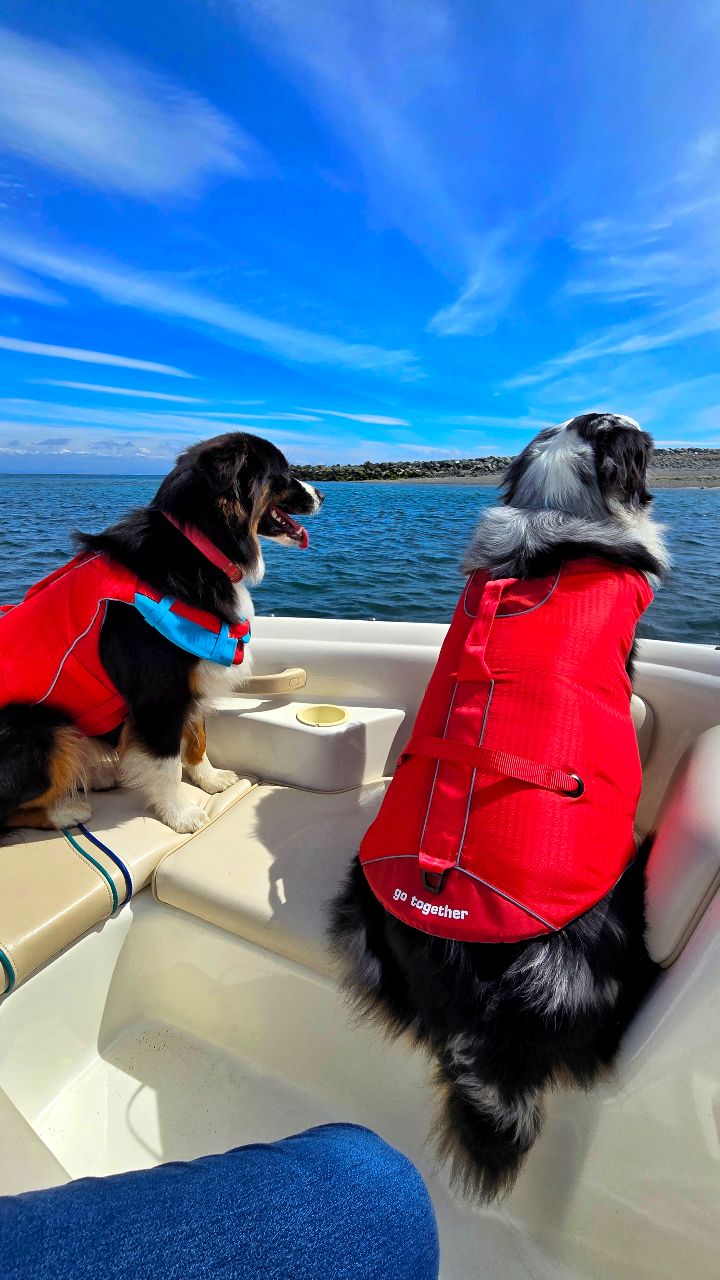 Instagram post by @beccajtalbot for Kurgo. Caption reads: [...] matching Surf N Turf life jackets from....