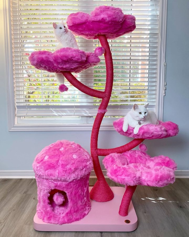 Instagram post by @smudge_lord for KBSPETS. Caption reads: [...] look good in pink 💕🌸 Big thanks to....