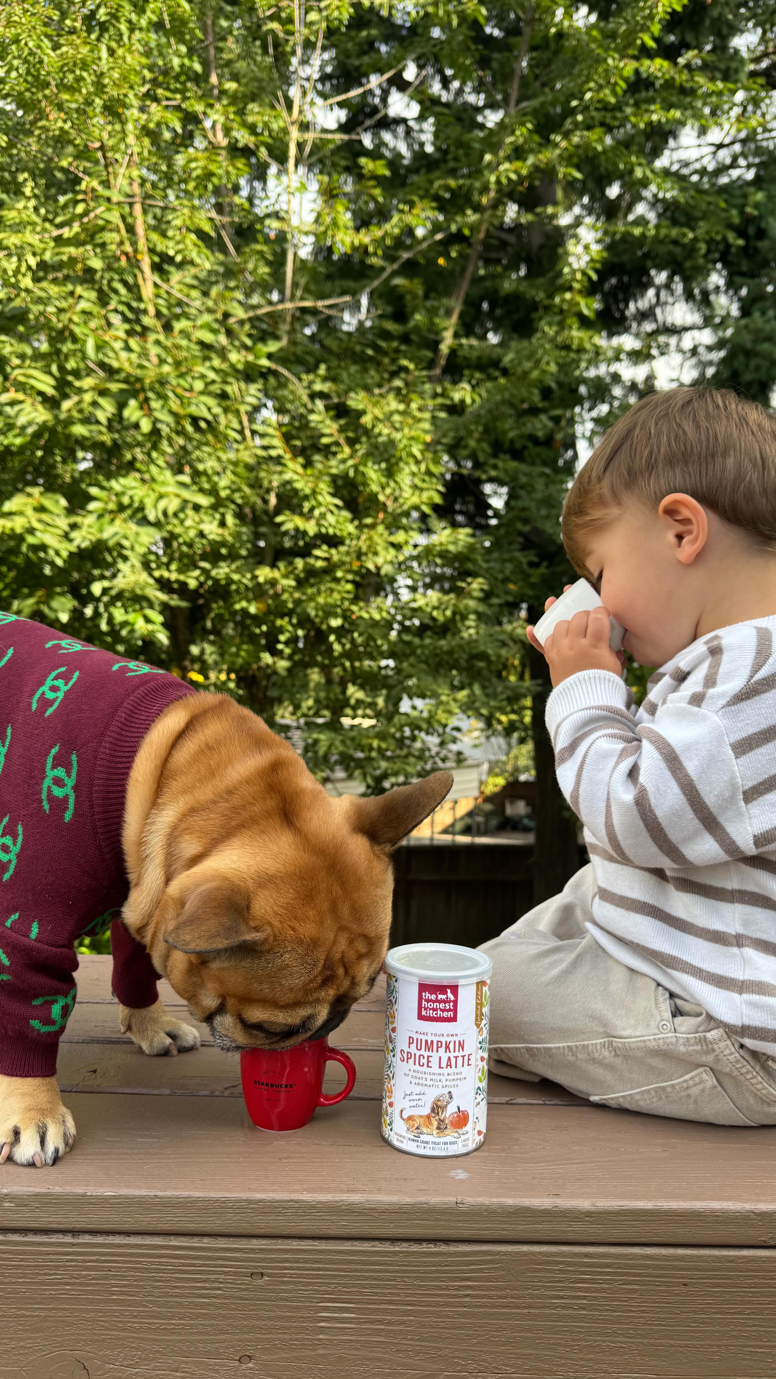 Instagram post by @barkleythefrenchiee for The Honest Kitchen. Caption reads: On today’s episode of Cooking with Baylor &....