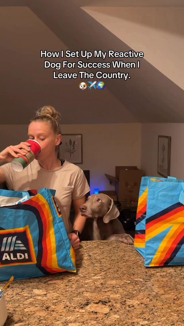 Instagram post by @weim_crime.sisters for Native Pet. Caption reads: Setting Jade up for success is my main priority....