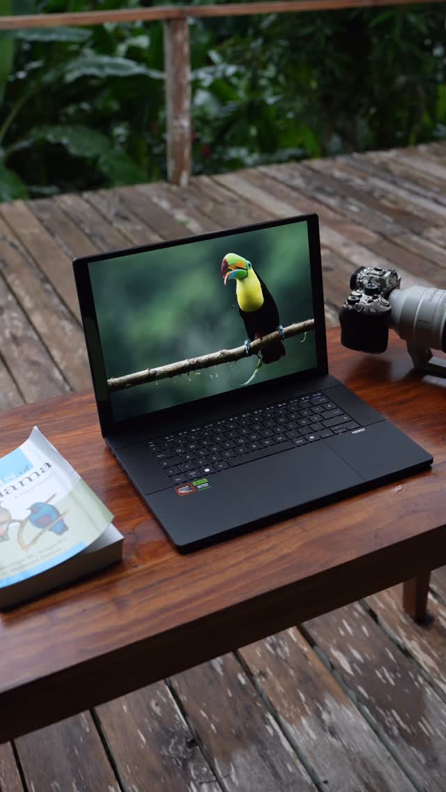 Instagram post by @sasan__amir for NVIDIA. Caption reads: From the rainforest of Panama to the editing desk....