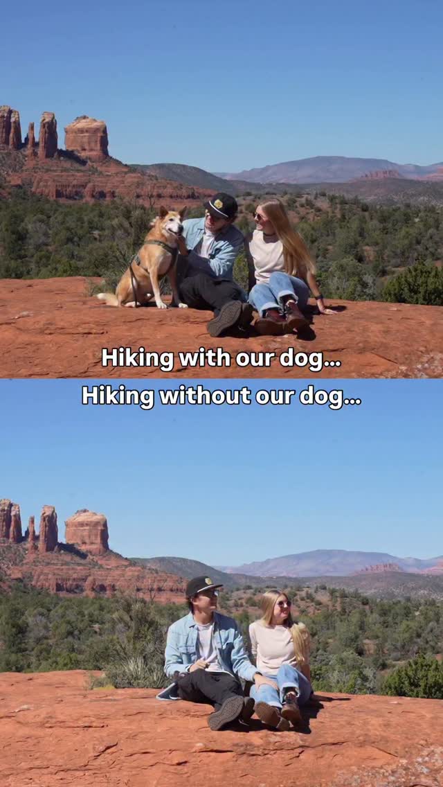 Instagram post by @themobilehomie for NutriSource Pet Foods. Caption reads: Pets make everyday better 🥹🐕

& so does....