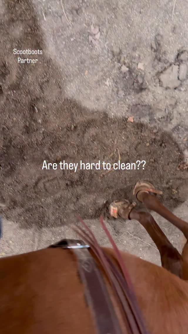 Instagram post by @doublezfarm for Scoot Boots. Caption reads: #ad Are @scootbootsdownunder easy to clean? Yes!....