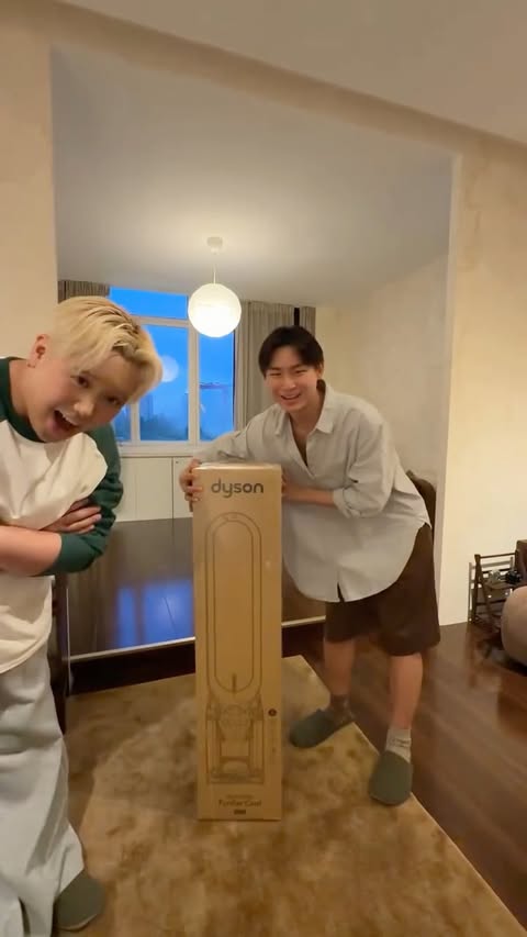 Instagram post by @n1gel.lim for Dyson. Caption reads: [...] our first big boy appliance which is the....