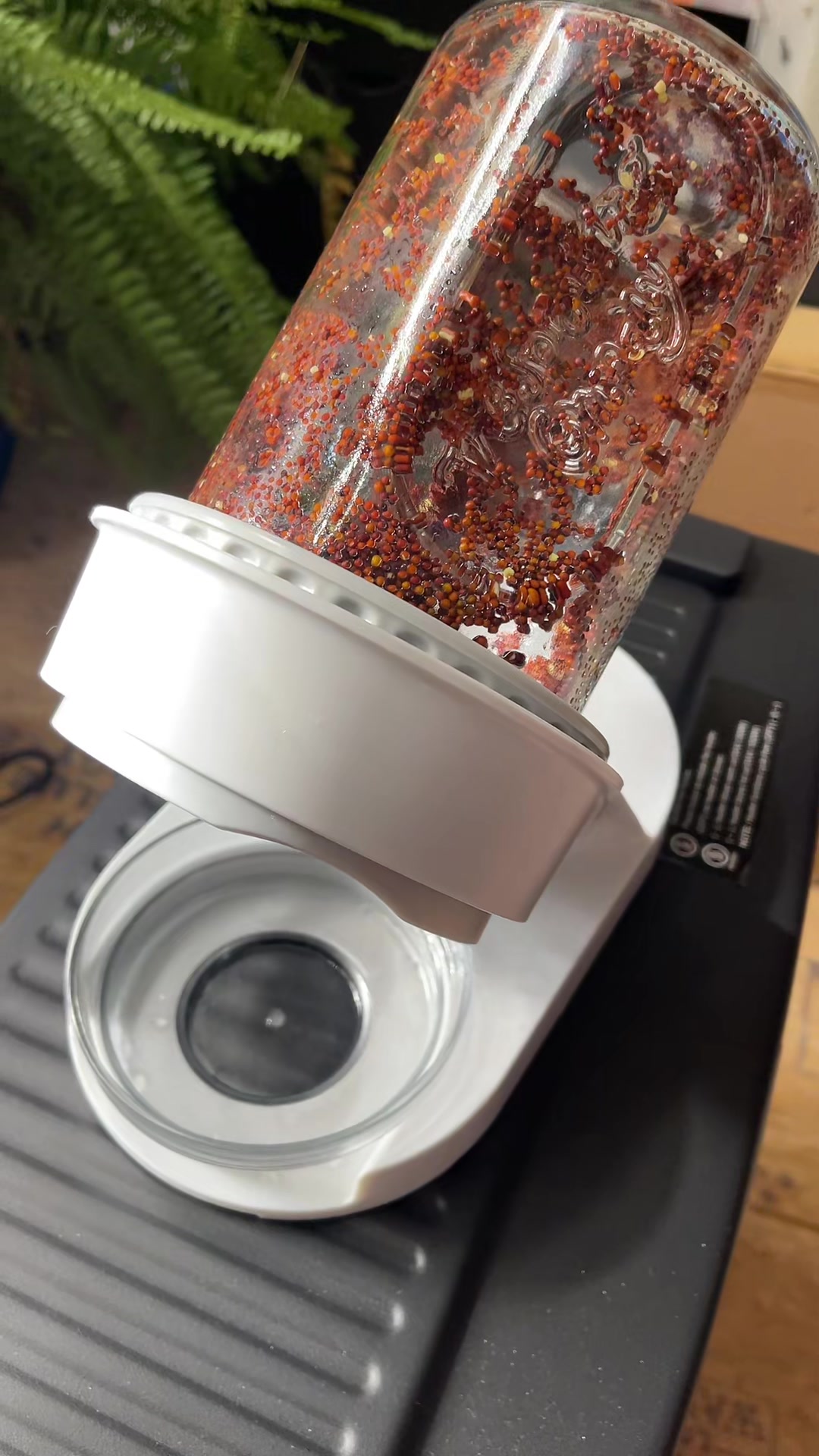 TikTok post by @themole2005_official for The Sprouting Company. Caption reads: [...] #garden #sproutingseeds @TheSproutingCompany....