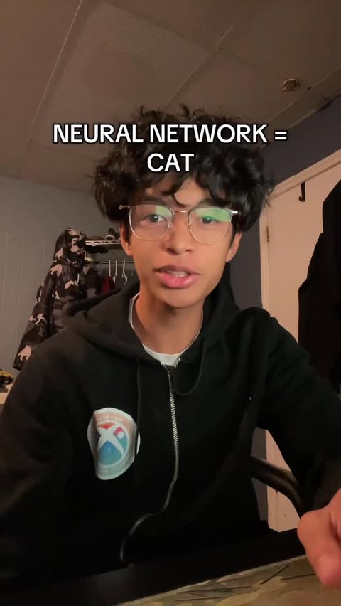 Instagram post by @ouckahcs for Brilliant.org. Caption reads: neural catwork @brilliantorg 

#ad #neuralnetworks....