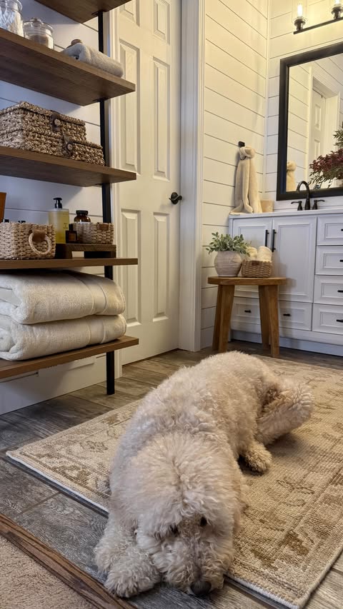 Instagram post by @farmtotablecreations for Quince. Caption reads: Wait… This is Quince??🤯

🔗Type, PLEASE SHARE....