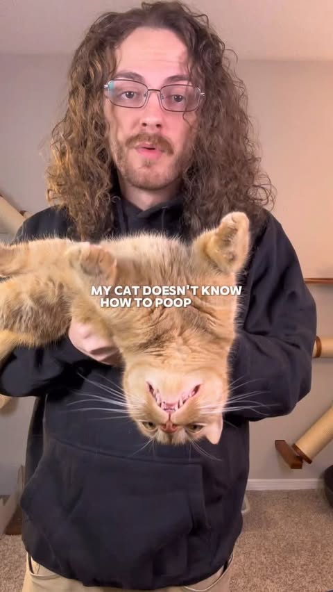 Instagram post by @renusdelph for PetPivot. Caption reads: One of my favorite litter boxes from @petpivot $35....