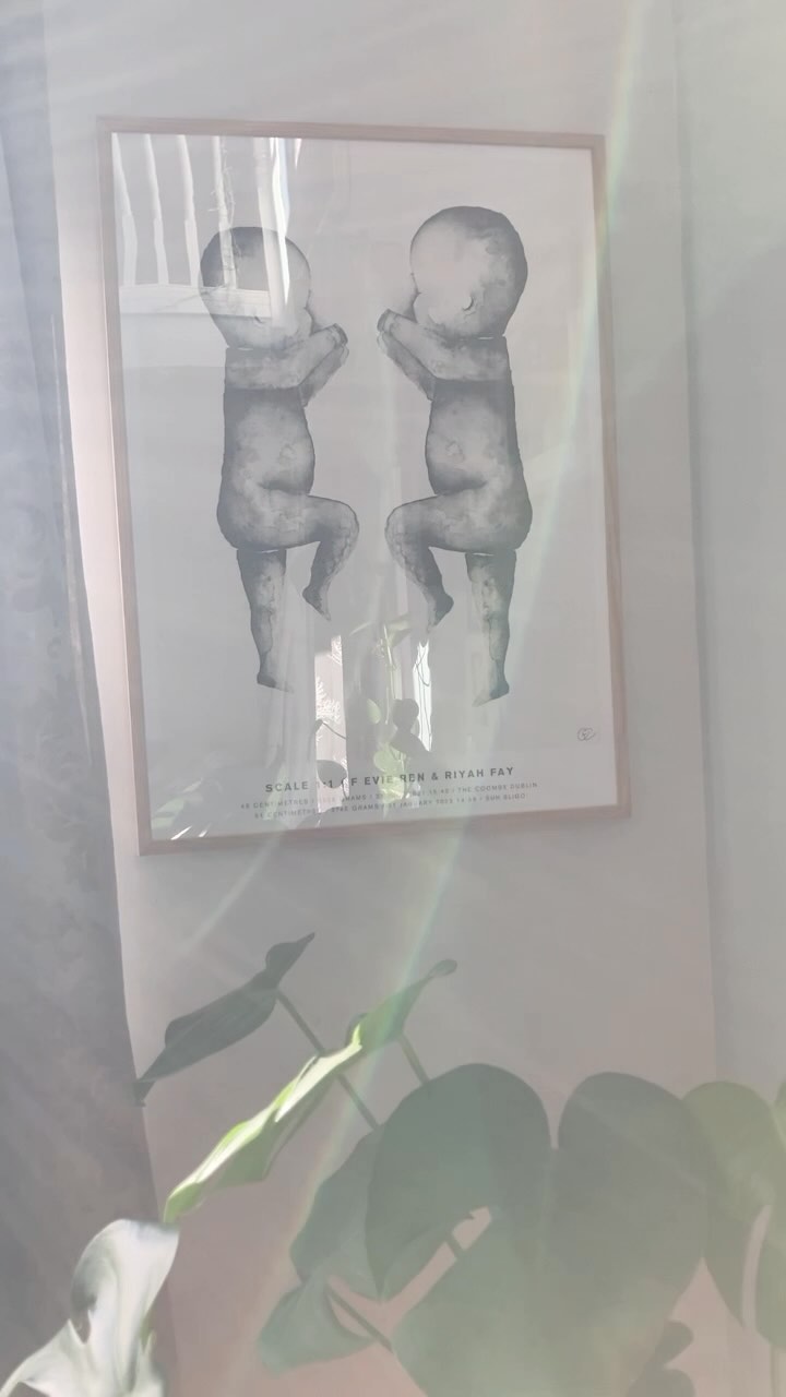 Instagram post by @shouting_eviesworth for The Birth Poster. Caption reads: One of our most special collaborations. 

Evie and....