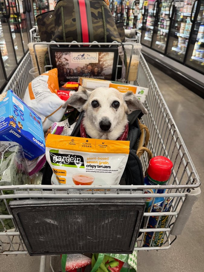 Instagram post by @stanleypotatochip for Bernie's Best. Caption reads: “If you can make just one person smile today, if....