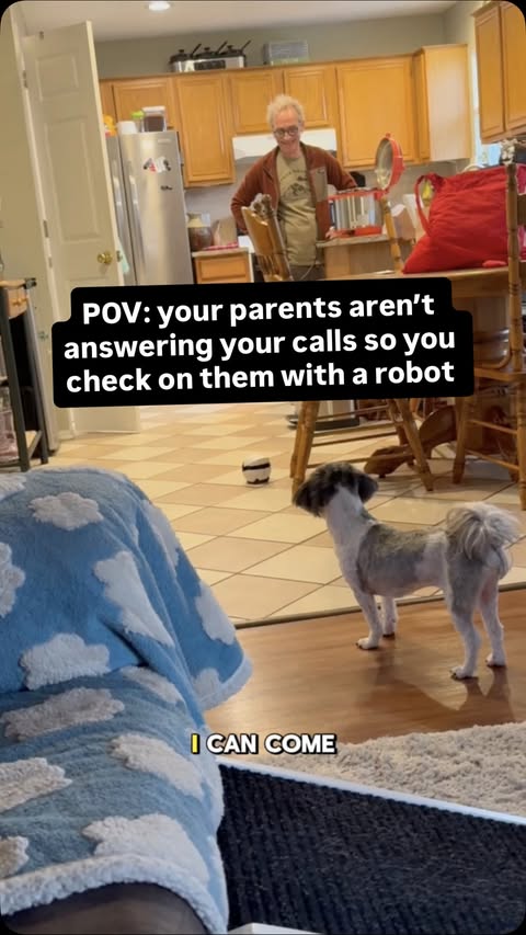 Instagram post by @lovebeav for Enabot. Caption reads: Link in bio to get a robot for your home too!....
