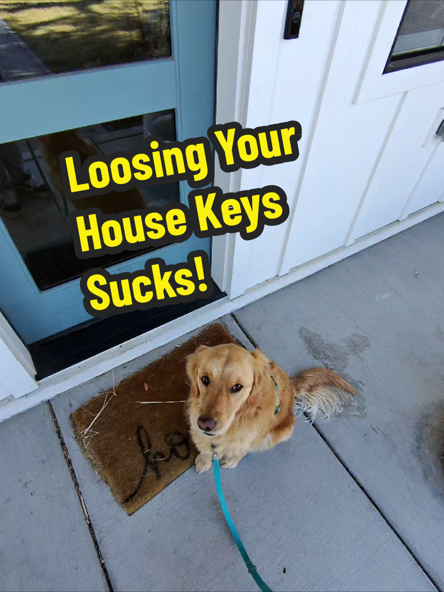 TikTok post by @theghousefam for Wyze. Caption reads: [...] about loosing your house keys again!....