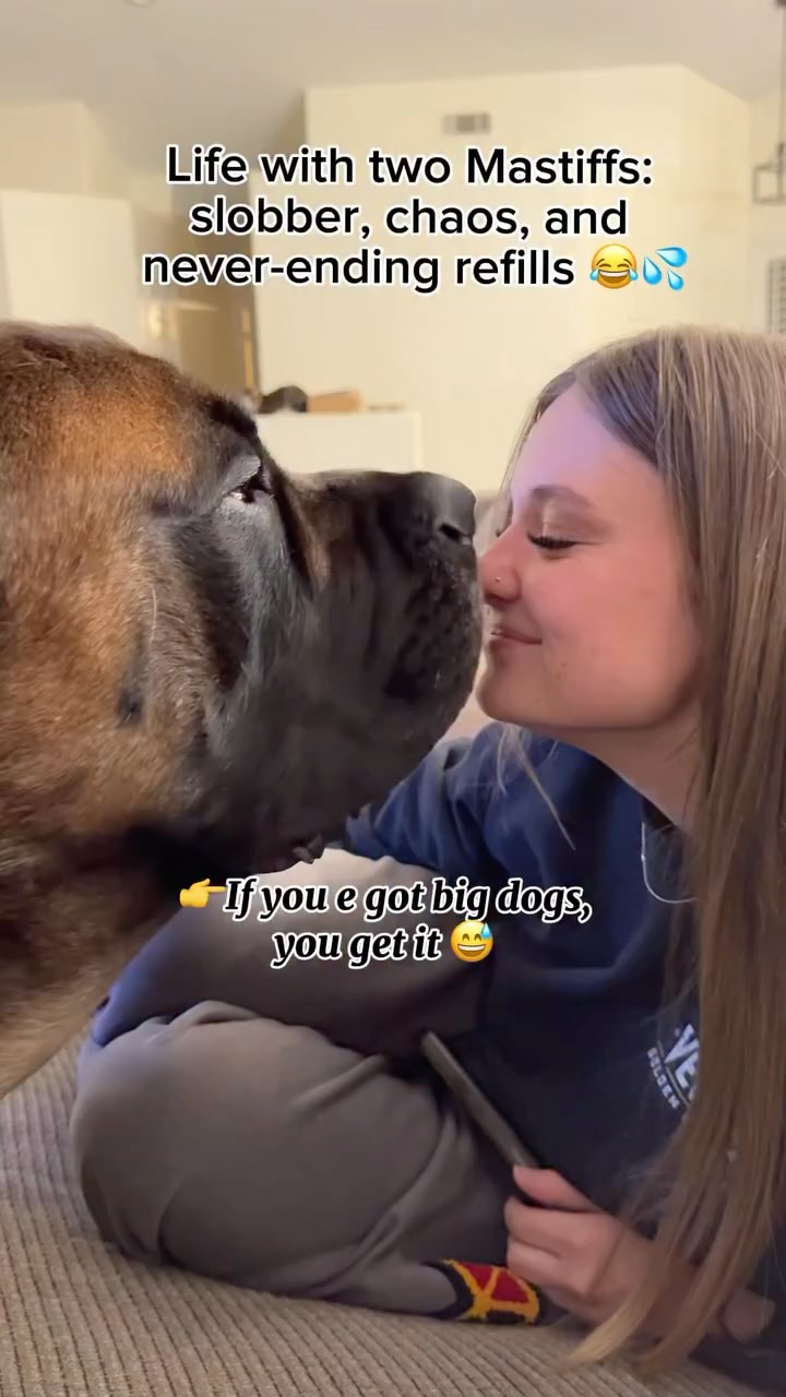 Instagram post by @bowserthemastiff for Oneisall. Caption reads: Every house with a pet needs the OneIsAll hale 10L....