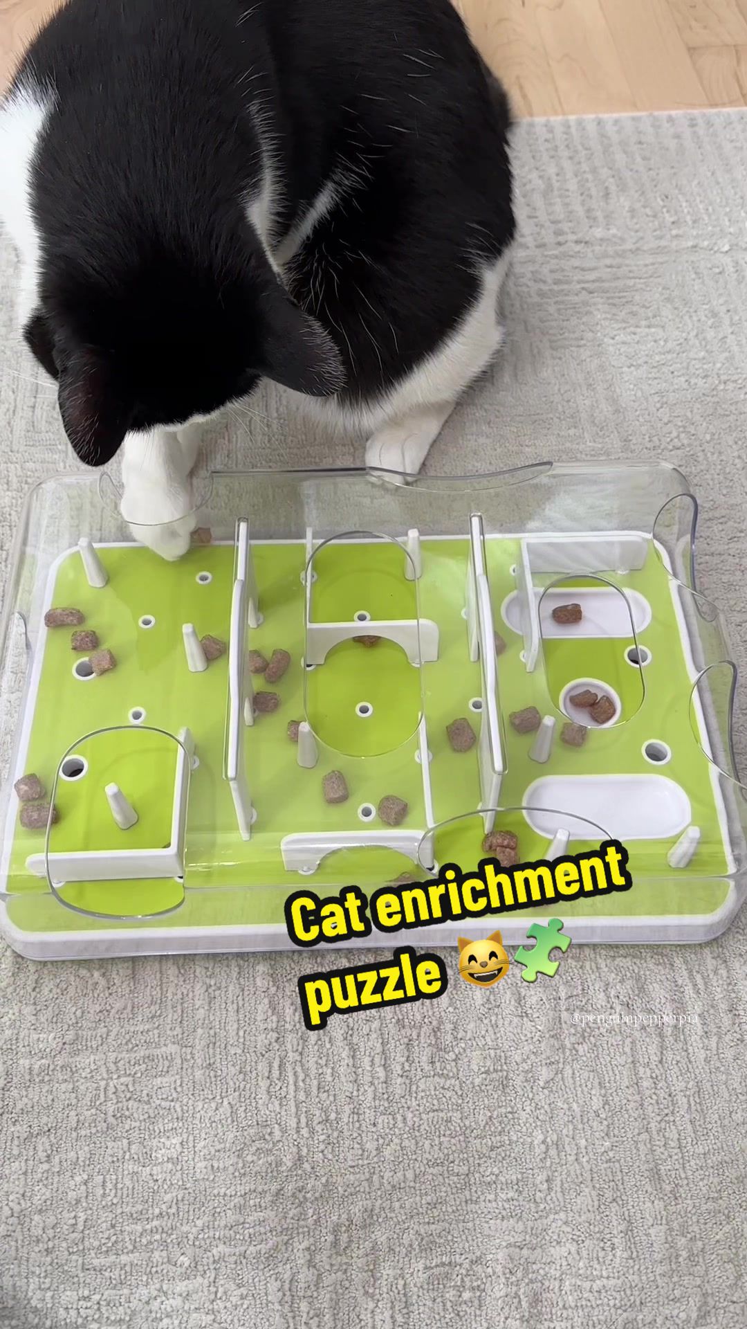 TikTok post by @penguinpepperpia for Vital Essentials. Caption reads: [...] 🧠🐾 This puzzle is packed with @Vital....