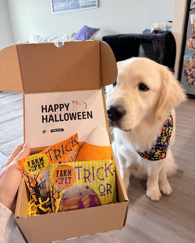 Instagram post by @vaderrthegolden for Farm to Pet. Caption reads: trick or treat!! thank you @farmtopet for the....