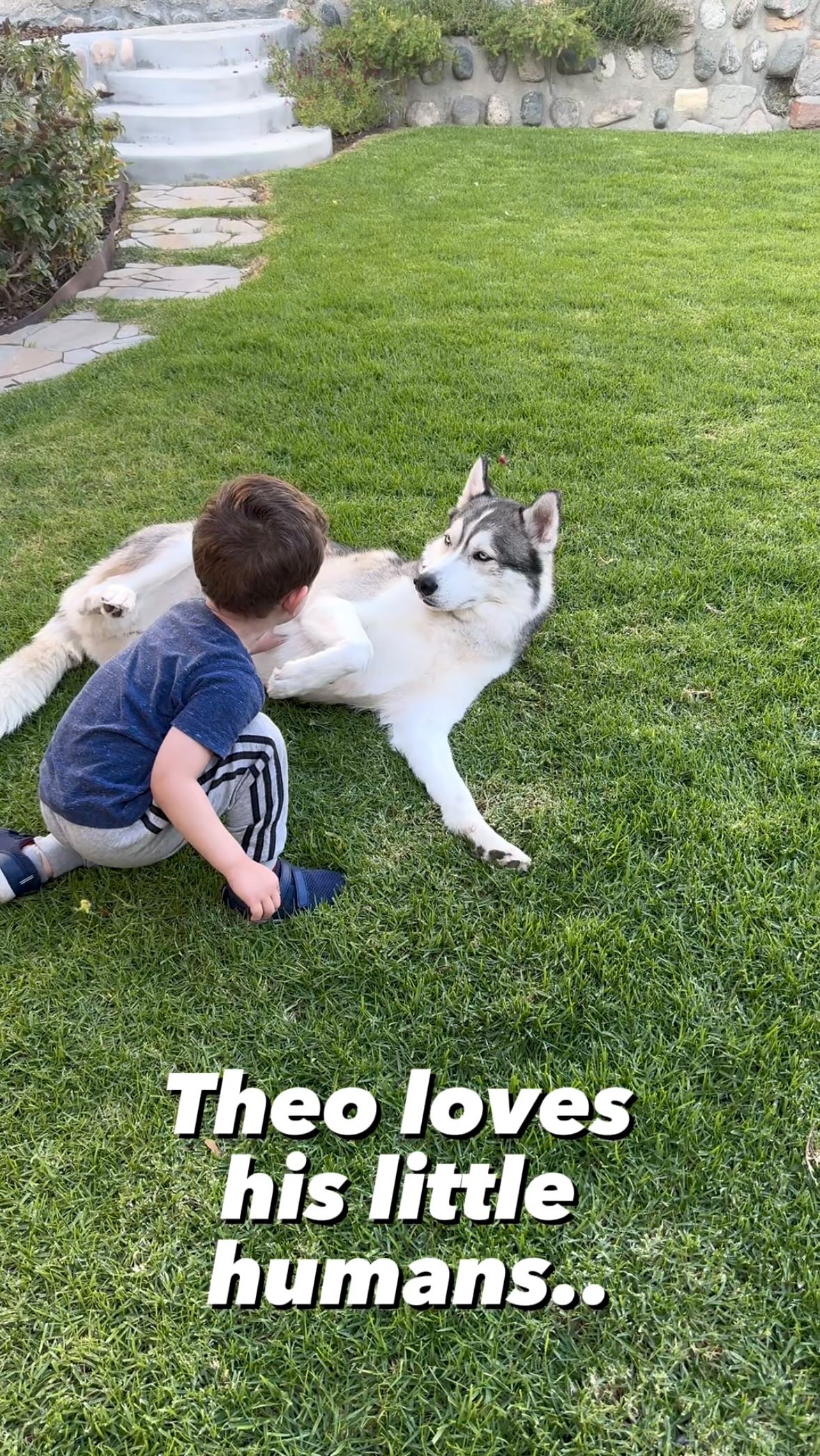 Instagram post by @thathuskytheo for Vetnique. Caption reads: Theo’s happiest place is with his little humans 🤍....