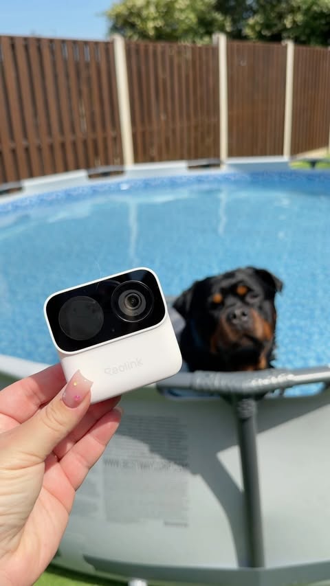 Instagram post by @demiwiththedogs for Reolink. Caption reads: The easiest security camera I’ve ever set up 🤏🏻✨....