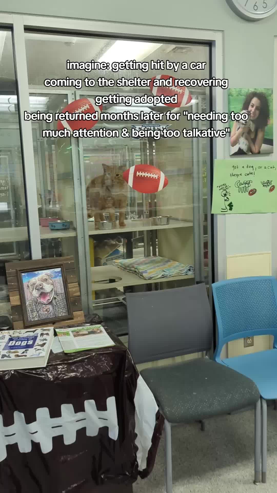 TikTok post by @brandnewkathryn for Philadelphia Eagles. Caption reads: there's no point in getting into owners and how....