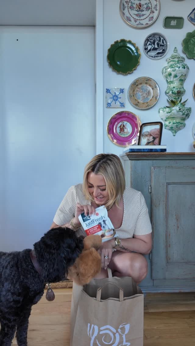 Instagram post by @chinaealexander for JustFoodForDogs. Caption reads: Don’t get between Dingo and his @justfoodfofdogs....