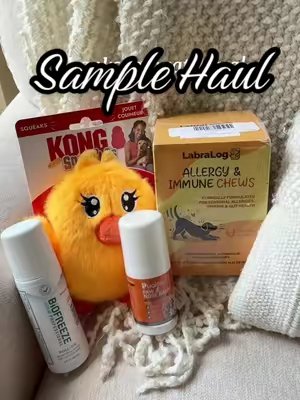 TikTok post by @queenie.n.me for Biofreeze. Caption reads: [...] #dogitems #dogessentials #fyp @Kong....