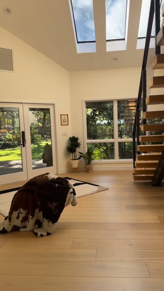 Instagram post by @winstonthefrenchiee_ for Skout's Honor. Caption reads: [...] we’ve got the magic potion! 🪄 @skoutshonor....